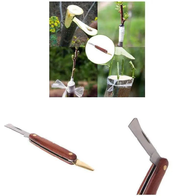 Cortador De Enxerto De Aço Inoxidável Dobrável Faca De Poda Ferramenta De Jardim Profissional